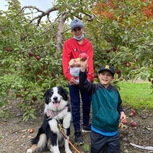 Meet your Posher, David